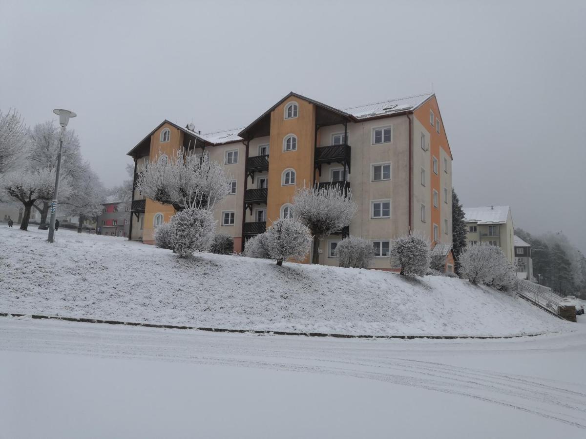 Apartment Lipno Sumava Pro 8 Hostu Липно-над-Влтавой Экстерьер фото